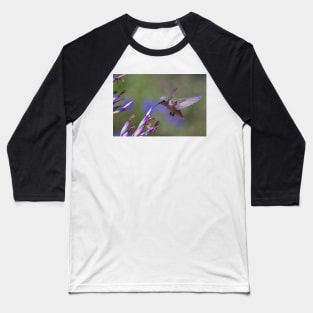 Allen's Hummingbird Baseball T-Shirt